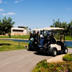 Golf Buggies for hire